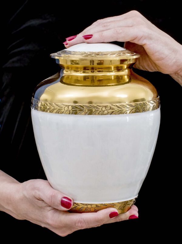 White and gold cremation urn for ashes, white body with a gold plating at the top, large, 200 cubic inch
